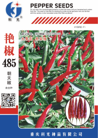 科光種苗“艷椒485”辣椒、“秋實1號”甘藍分別入選2025年農(nóng)業(yè)主導(dǎo)品種、農(nóng)作物優(yōu)良品種推廣目錄